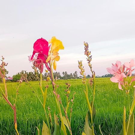 Kurau Inn Farmstay Kuala Kurau エクステリア 写真
