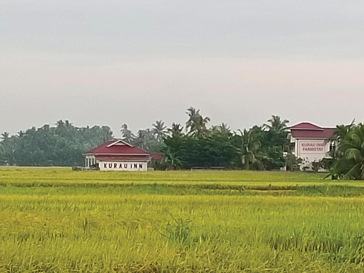 Kurau Inn Farmstay Kuala Kurau エクステリア 写真