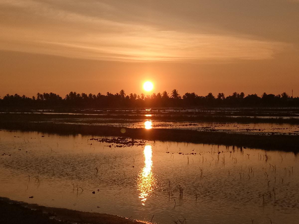Kurau Inn Farmstay Kuala Kurau エクステリア 写真